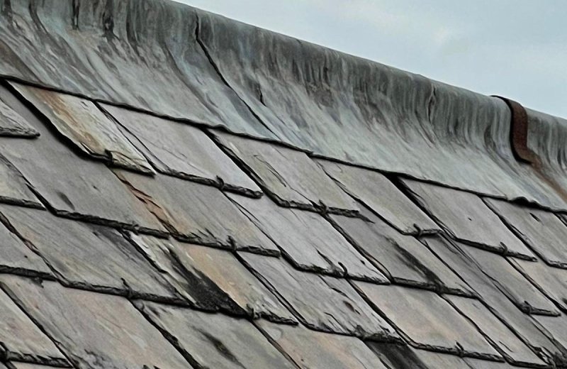 0e8f636b a1a2 434e aaa7 788e711c3706