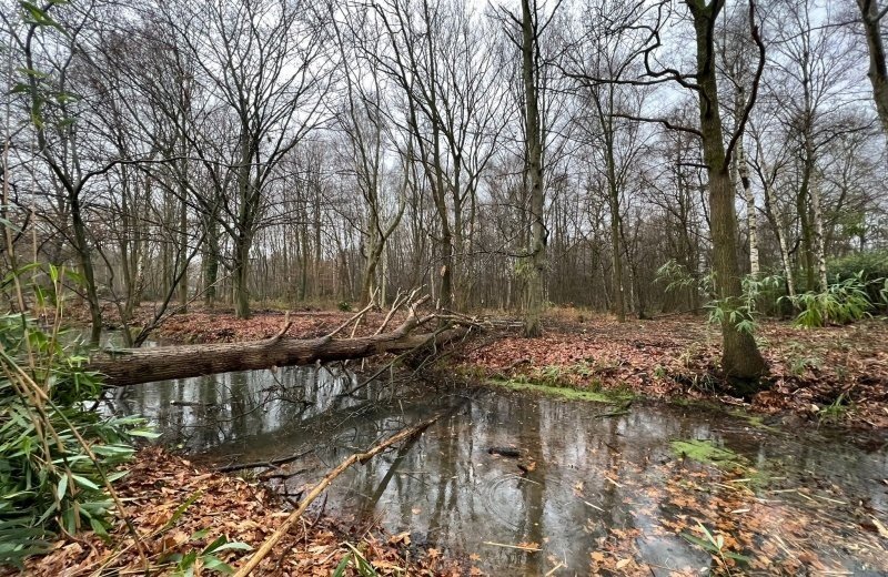 373396dc 0d60 4e38 ae77 c5d87daf01b1