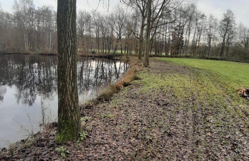 4e317e99 8102 4743 8503 b3d9c65227c5