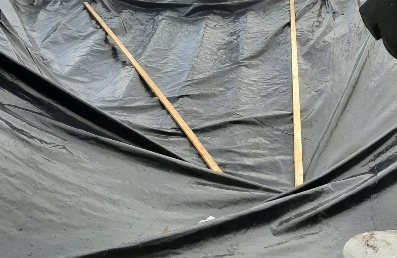 7cdf8d11 6f95 4dd8 a0bb 7e1dc4e2a76e