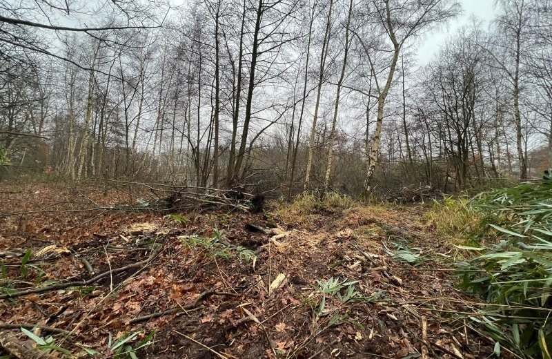 7d6e2cb8 38d0 443a 84fa d86ee12eb5e3