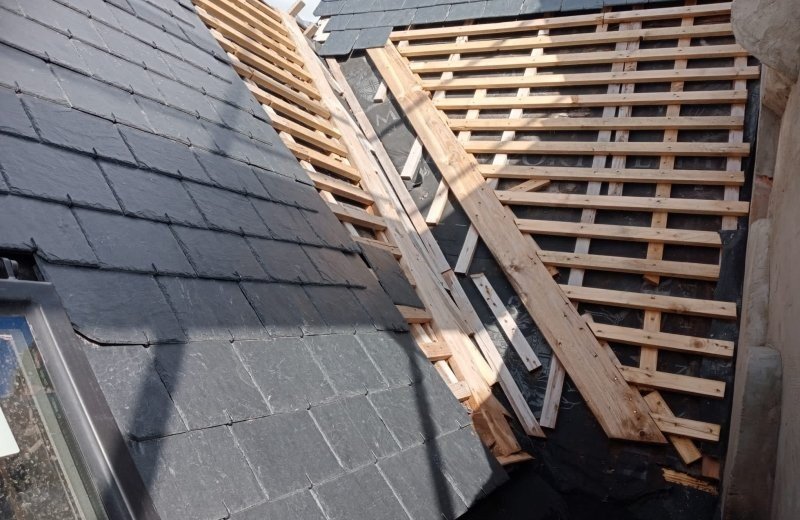 932d31e2 fb8e 413f bf4b 91a27102dc91