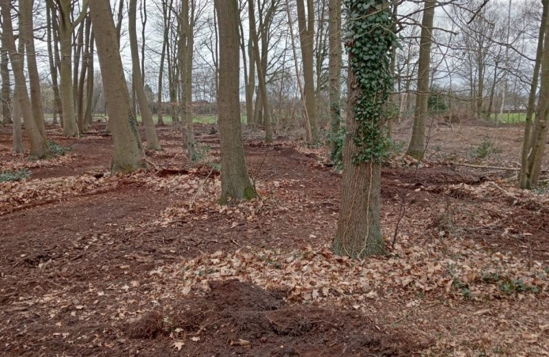 9517cfc9 bef2 44d4 87d4 ae23c9835560