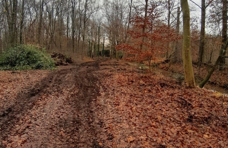 9c83d444 7d5a 4ec9 9c09 5968ef40675c