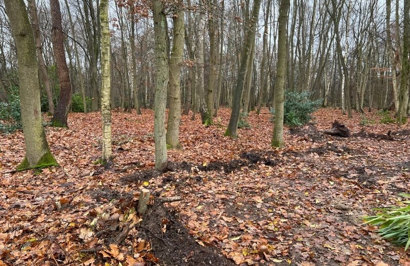 Bff17dd5 6170 41b5 bcbf bd5d243aa71c