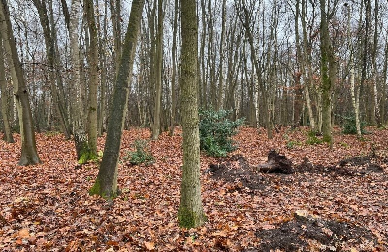 C6e157ae 0649 475c 8598 ec4b62a19f0e