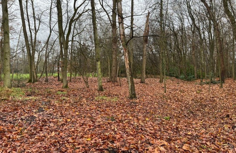 Cf05d4d7 0159 4ab6 b7c1 1a1d09c1fbd6