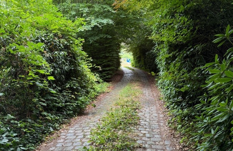 E14c2e01 e9cd 42b8 a2ee a4fabdc9fc97