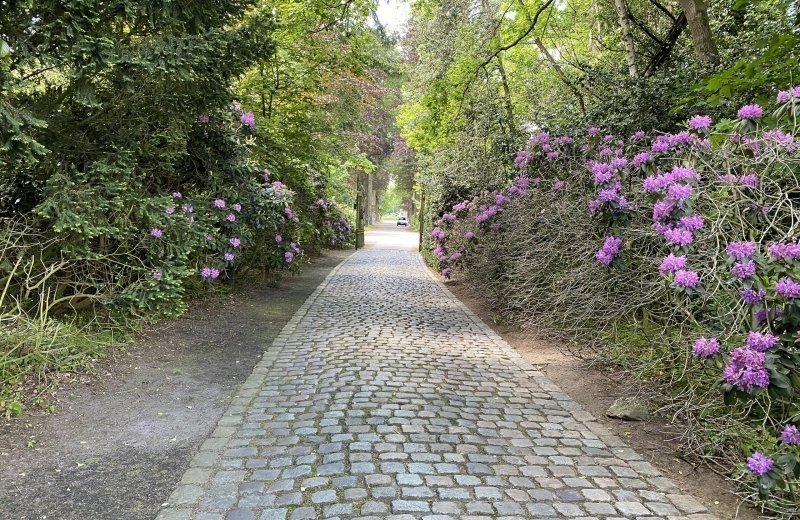 Img 1011 686e4f14a82e8