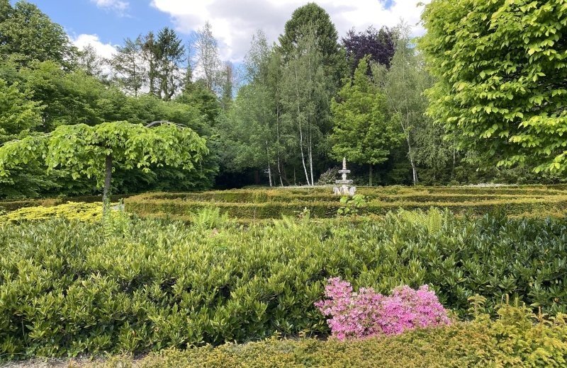 Img 1017 686e4f24524cc