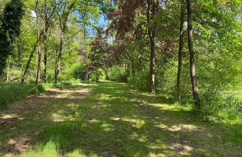 Kasteel genenbroek 77