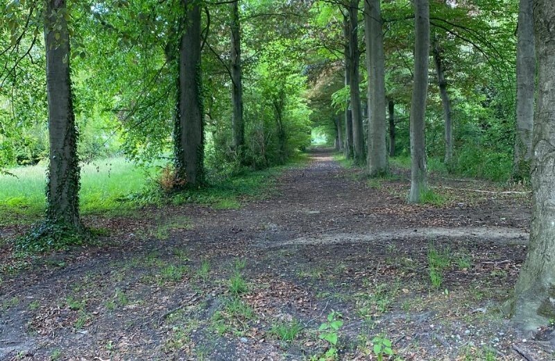 Kasteel genenbroek 85