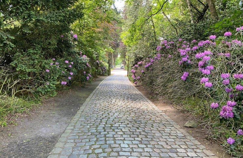 Kasteel genenbroek 93