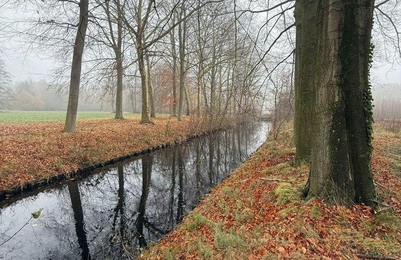 Whatsapp image 2025 12 05 at 12 01 59