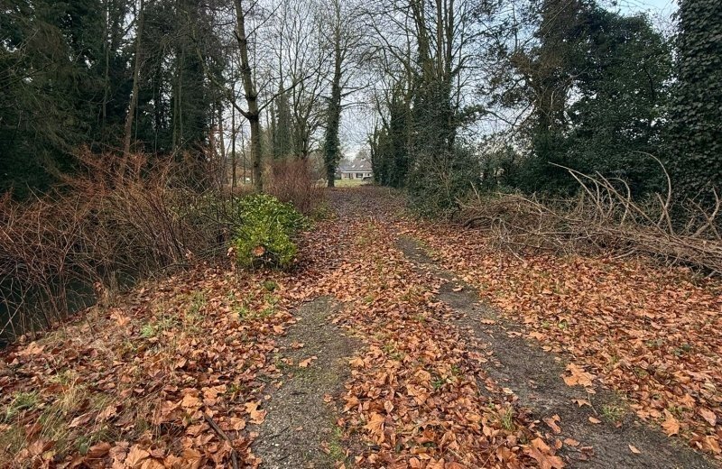 Whatsapp image 2025 12 31 at 15 00 071