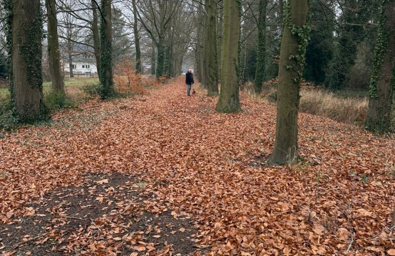 Whatsapp image 2025 12 31 at 15 00 094