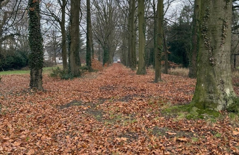 Whatsapp image 2025 12 31 at 15 00 11