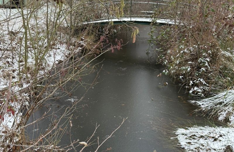 Whatsapp image 2026 01 11 at 17 17 511