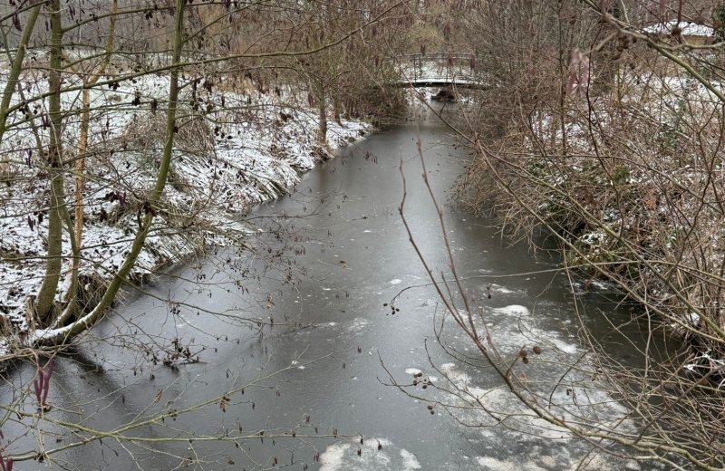 Whatsapp image 2026 01 11 at 17 17 514