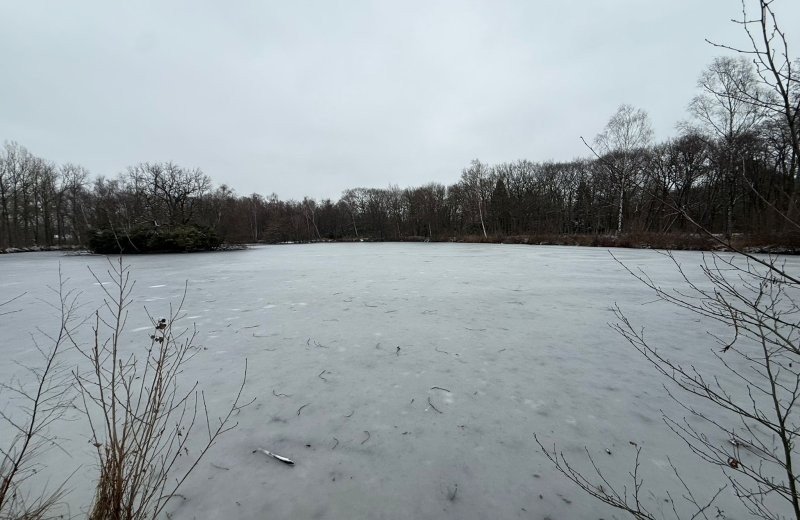 Whatsapp image 2026 01 11 at 17 17 535