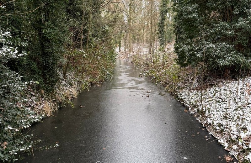 Whatsapp image 2026 01 11 at 17 17 537