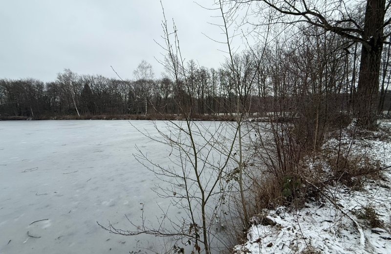 Whatsapp image 2026 01 11 at 17 17 539