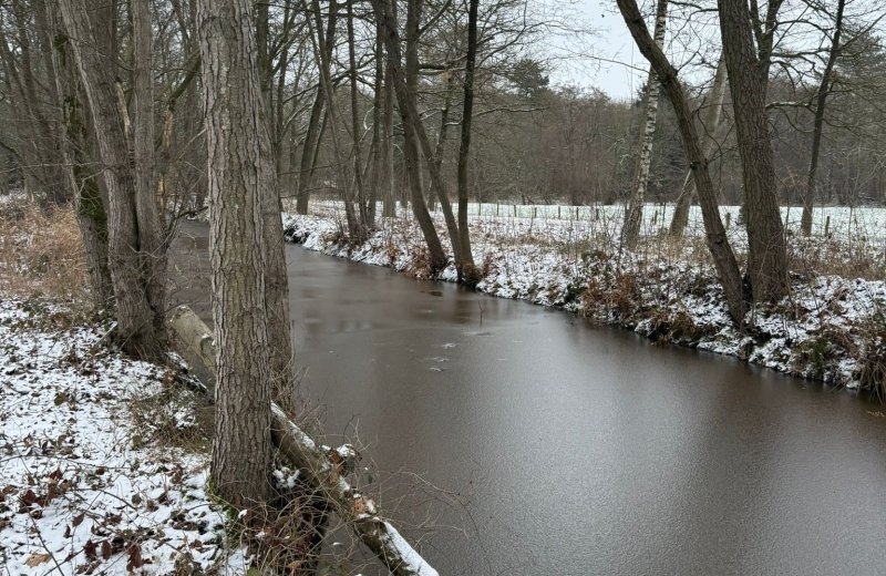 Whatsapp image 2026 01 11 at 17 17 543