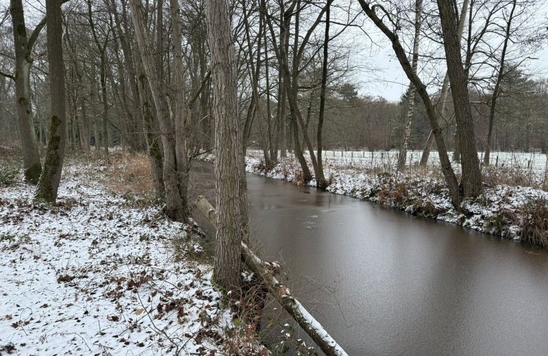 Whatsapp image 2026 01 11 at 17 17 544