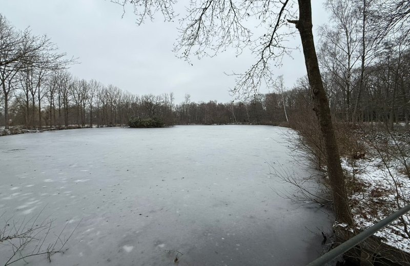 Whatsapp image 2026 01 11 at 17 17 548