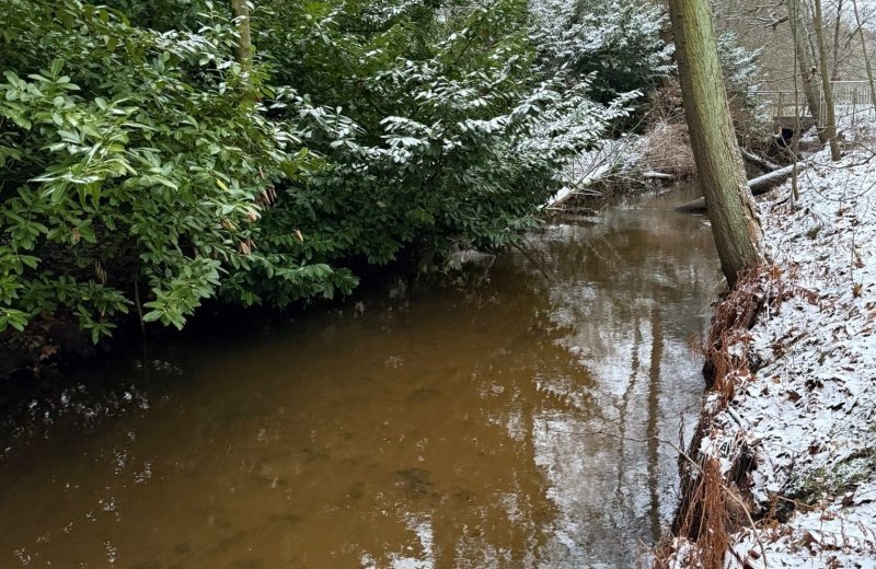 Whatsapp image 2026 01 11 at 17 17 554