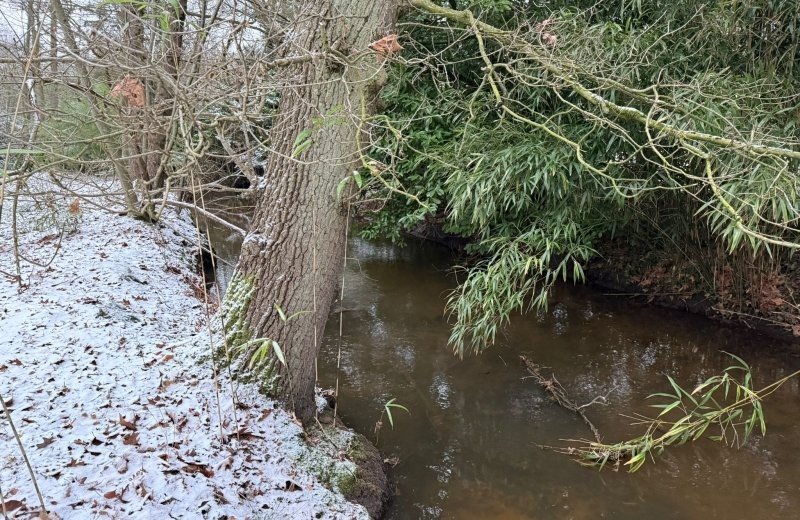 Whatsapp image 2026 01 11 at 17 17 555