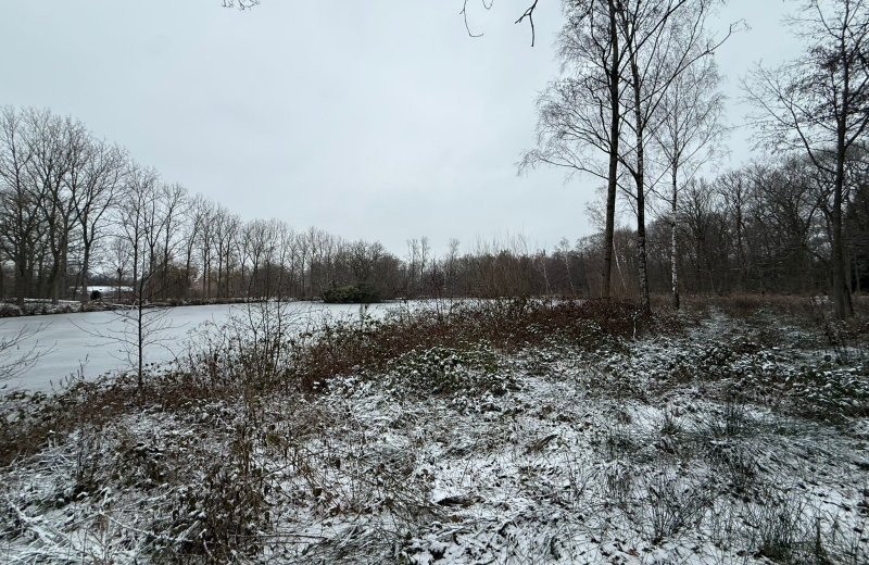 Whatsapp image 2026 01 11 at 17 17 557