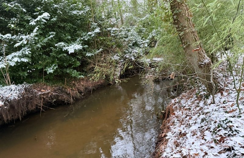 Whatsapp image 2026 01 11 at 17 17 5611