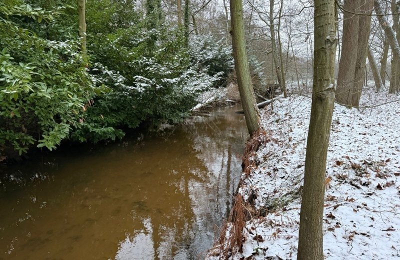 Whatsapp image 2026 01 11 at 17 17 566