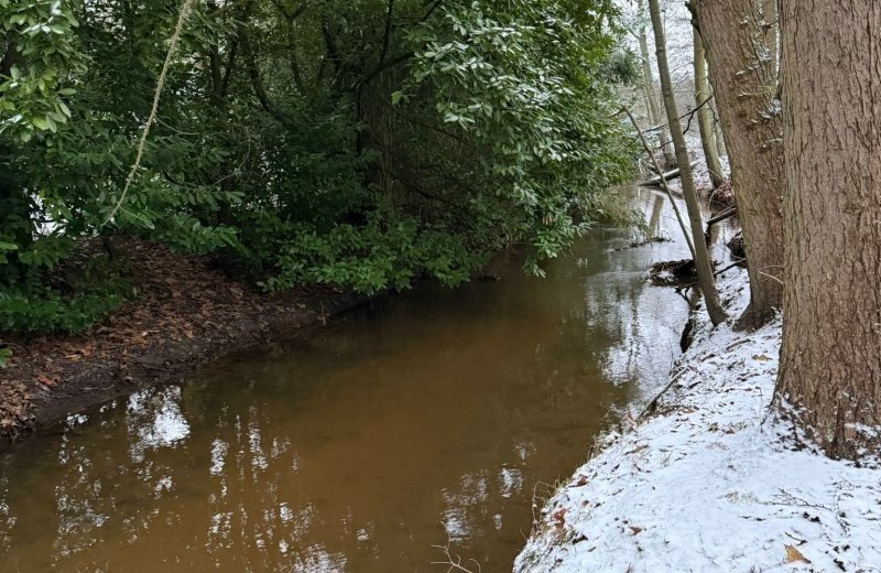 Whatsapp image 2026 01 11 at 17 17 567