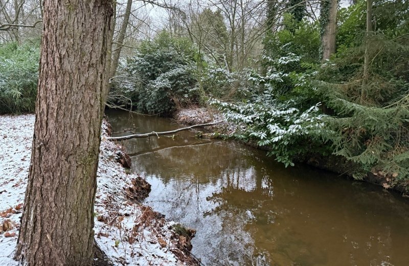 Whatsapp image 2026 01 11 at 17 17 568