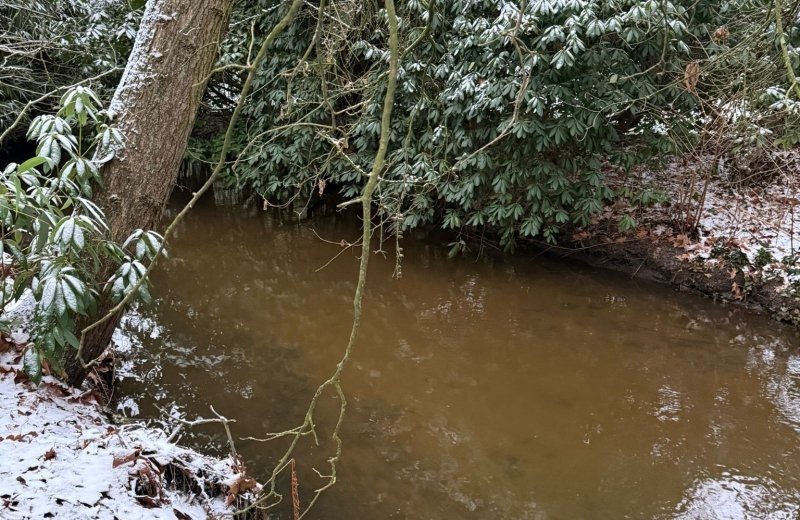 Whatsapp image 2026 01 11 at 17 18 22