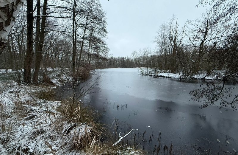 Whatsapp image 2026 01 11 at 17 18 221