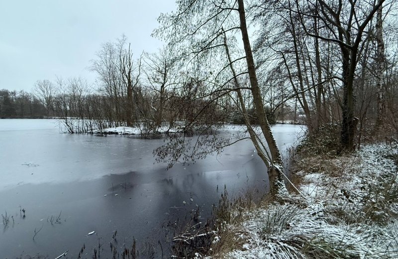 Whatsapp image 2026 01 11 at 17 18 222