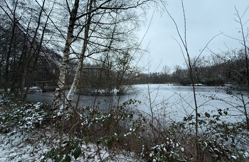 Whatsapp image 2026 01 11 at 17 18 251