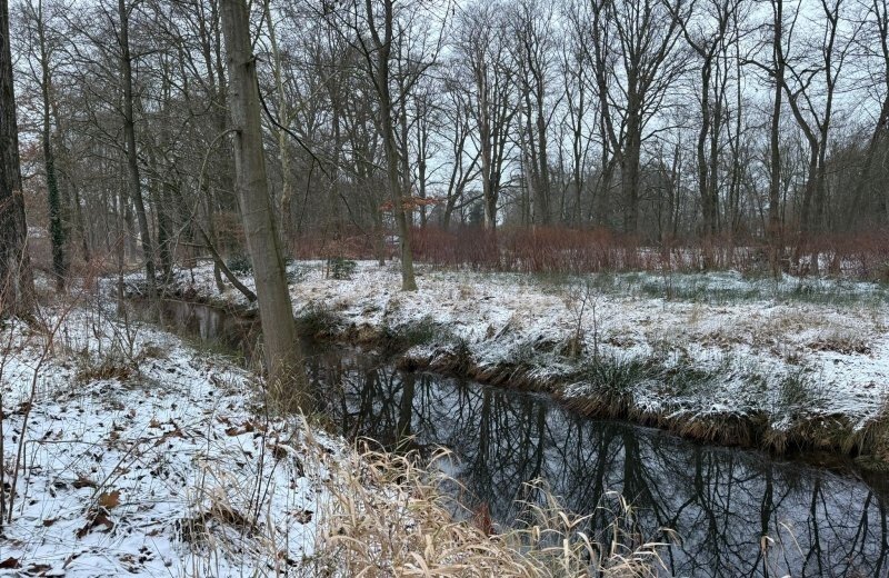 Whatsapp image 2026 01 11 at 17 18 261