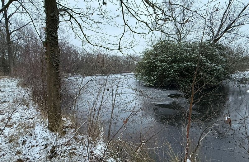 Whatsapp image 2026 01 11 at 17 18 273